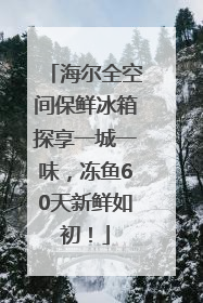 海尔全空间保鲜冰箱探享一城一味，冻鱼60天新鲜如初！