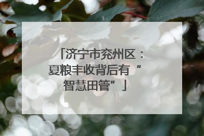 济宁市兖州区：夏粮丰收背后有“智慧田管”