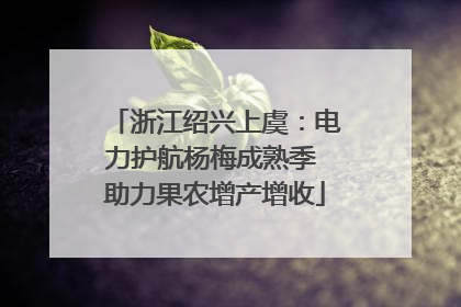 浙江绍兴上虞：电力护航杨梅成熟季 助力果农增产增收