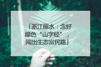 浙江丽水：念好绿色“山字经”，闯出生态富民路