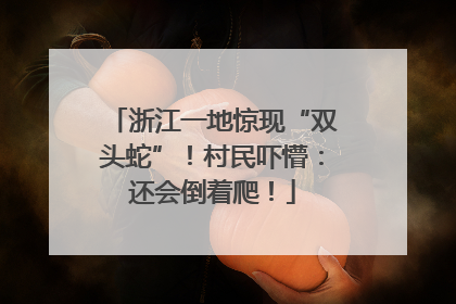 浙江一地惊现“双头蛇”！村民吓懵：还会倒着爬！