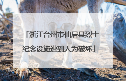 浙江台州市仙居县烈士纪念设施遭到人为破坏