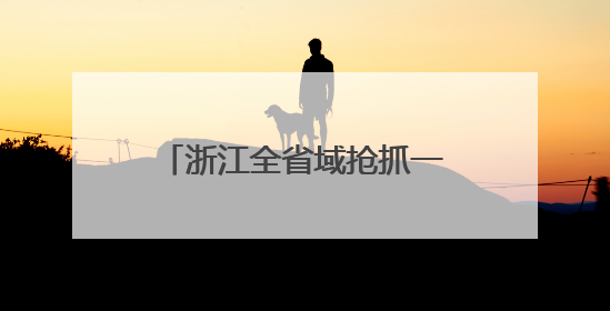 浙江全省域抢抓一体化发展新机遇：长三角织密互通网络