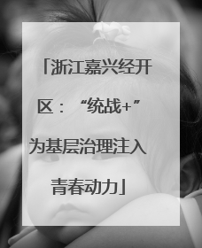 浙江嘉兴经开区：“统战+”为基层治理注入青春动力