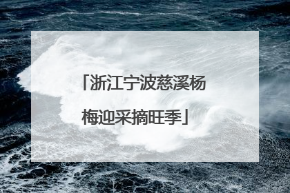 浙江宁波慈溪杨梅迎采摘旺季