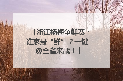 浙江杨梅争鲜赛：谁家最“鲜”？一键@全省来战！