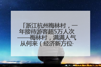 浙江杭州梅林村，一年接待游客超5万人次——梅林村，满满人气从何来（经济新方位·农村消费观察）