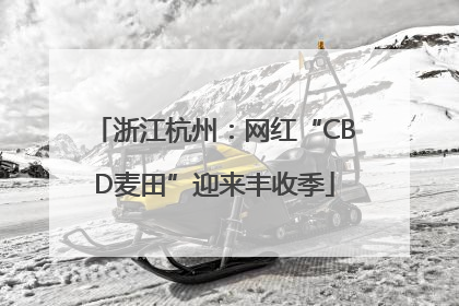 浙江杭州：网红“CBD麦田”迎来丰收季