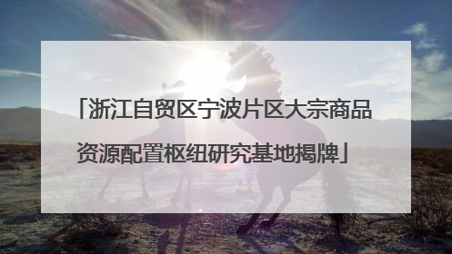 浙江自贸区宁波片区大宗商品资源配置枢纽研究基地揭牌
