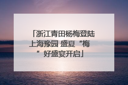 浙江青田杨梅登陆上海豫园 盛夏“梅”好盛宴开启