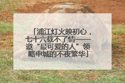 浦江灯火映初心，七十六载不了情——邀“最可爱的人”领略申城的不夜繁华