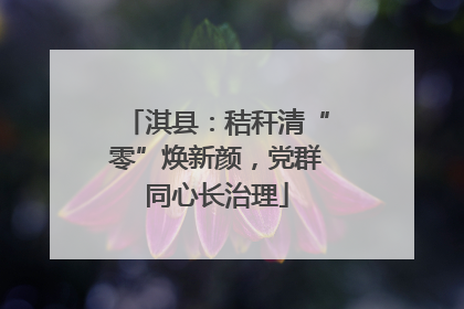 淇县：秸秆清“零”焕新颜，党群同心长治理