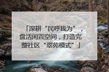 深耕“民呼我为”，盘活闲置空间，打造完整社区“翠苑模式”