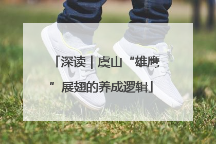 深读｜虞山“雄鹰”展翅的养成逻辑