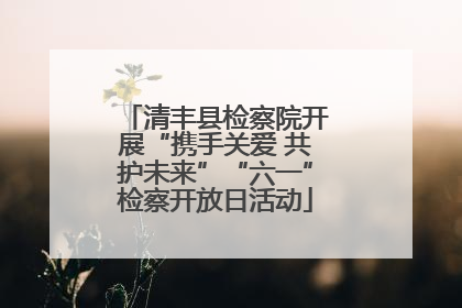 清丰县检察院开展“携手关爱 共护未来”“六一”检察开放日活动