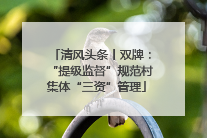 清风头条丨双牌：“提级监督”规范村集体“三资”管理