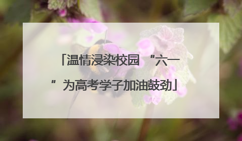 温情浸染校园 “六一”为高考学子加油鼓劲
