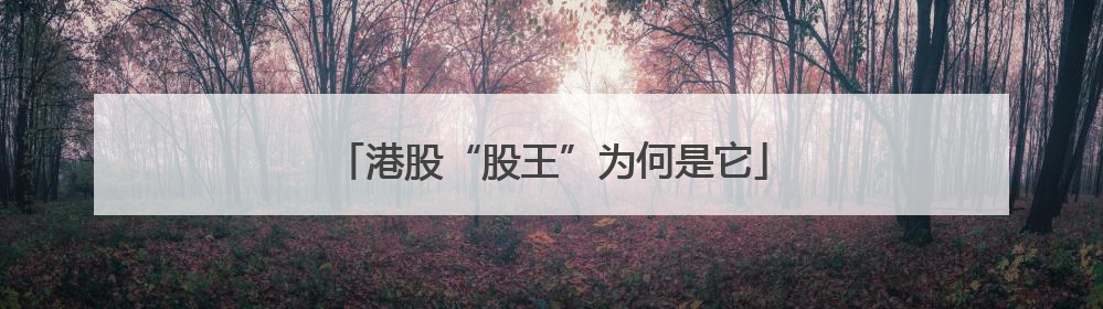 港股“股王”为何是它