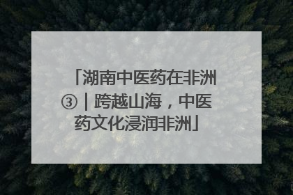 湖南中医药在非洲③｜跨越山海，中医药文化浸润非洲