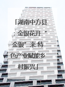 湖南中方县：金银花开“金银”来 特色产业赋能乡村振兴