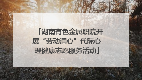 湖南有色金属职院开展“劳动润心”代际心理健康志愿服务活动