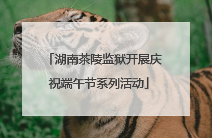 湖南茶陵监狱开展庆祝端午节系列活动
