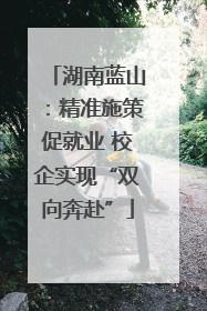 湖南蓝山：精准施策促就业 校企实现“双向奔赴”
