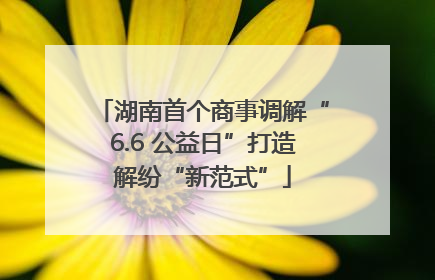 湖南首个商事调解“6.6 公益日”打造解纷“新范式”