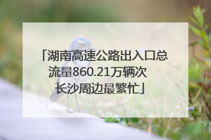 湖南高速公路出入口总流量860.21万辆次 长沙周边最繁忙