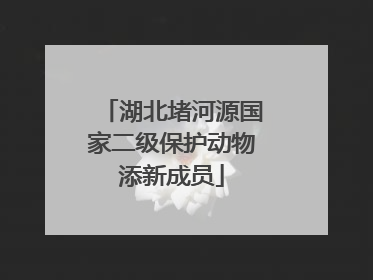 湖北堵河源国家二级保护动物添新成员