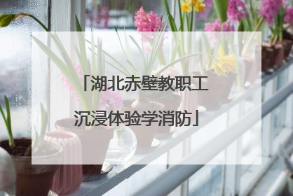湖北赤壁教职工沉浸体验学消防