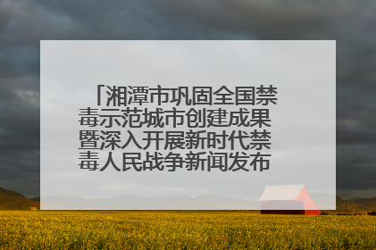 湘潭市巩固全国禁毒示范城市创建成果暨深入开展新时代禁毒人民战争新闻发布会答记者问摘录