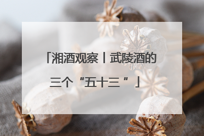 湘酒观察丨武陵酒的三个“五十三 ”