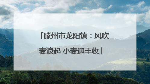 滕州市龙阳镇：风吹麦浪起 小麦迎丰收