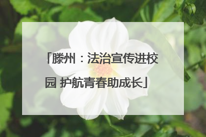 滕州：法治宣传进校园 护航青春助成长