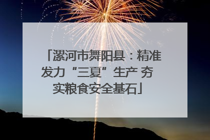 漯河市舞阳县：精准发力“三夏”生产 夯实粮食安全基石