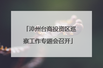 漳州台商投资区巡察工作专题会召开