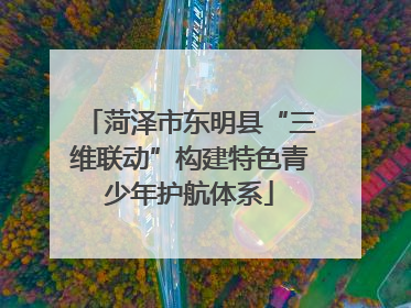 菏泽市东明县“三维联动”构建特色青少年护航体系