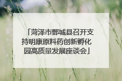 菏泽市鄄城县召开支持明康原料药创新孵化园高质量发展座谈会