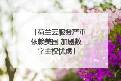 荷兰云服务严重依赖美国 加剧数字主权忧虑