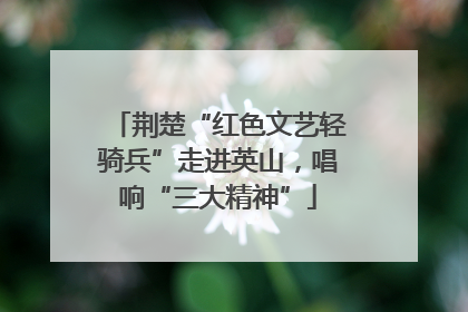 荆楚“红色文艺轻骑兵”走进英山，唱响“三大精神”