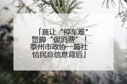 莫让“停车难”蹩脚“促消费”！泰州市政协一篇社情民意信息背后