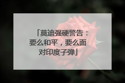 莫迪强硬警告：要么和平，要么面对印度子弹