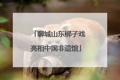 聊城山东梆子戏亮相中国非遗馆