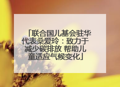 联合国儿基会驻华代表桑爱玲：致力于减少碳排放 帮助儿童适应气候变化