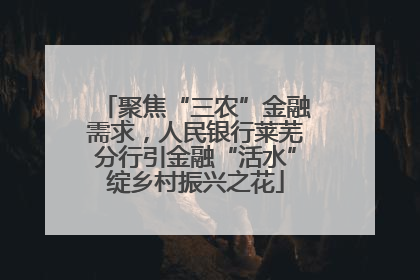 聚焦“三农”金融需求，人民银行莱芜分行引金融“活水”绽乡村振兴之花