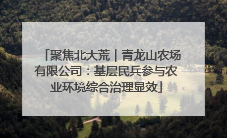 聚焦北大荒｜青龙山农场有限公司：基层民兵参与农业环境综合治理显效