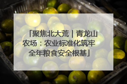 聚焦北大荒｜青龙山农场：农业标准化筑牢全年粮食安全根基