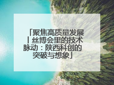 聚焦高质量发展丨丝博会里的技术脉动：陕西科创的突破与想象