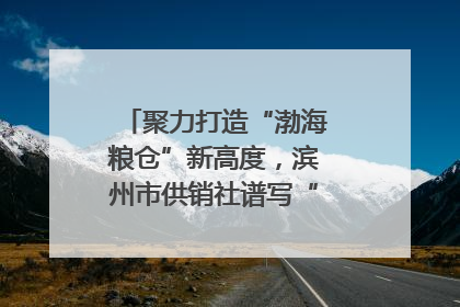 聚力打造“渤海粮仓”新高度，滨州市供销社谱写“三夏”丰收乐章